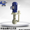 耐酸碱立式泵 可空转耐腐蚀立式泵3.7kw PP长轴液下泵 立式化工泵