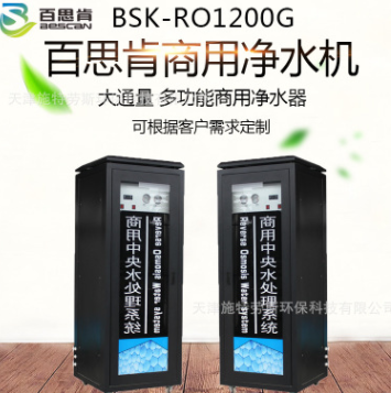 天津食品厂净水设备 BSK-RO1200G 医药厂净水设备