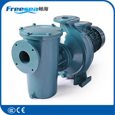 扬程高噪音低水泵畅海自吸循环水泵铁质水泵 大功率工业水泵配套