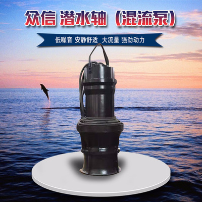 厂家直销 ZQB型潜水轴流泵 HQB型潜水混流泵 铸铁立式轴流泵