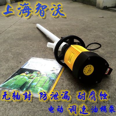 上海智沃HD-E2-V+PVDF型无轴封电动调速油桶泵/耐腐蚀抽液泵
