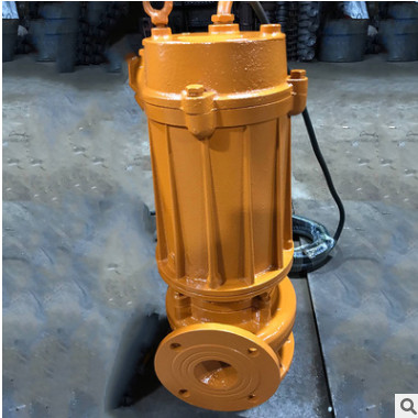 边立式电动排污泵 单吸式不阻塞铸铁污水泵 封闭式叶轮离心泵批发