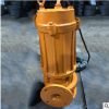 边立式电动排污泵 单吸式不阻塞铸铁污水泵 封闭式叶轮离心泵批发