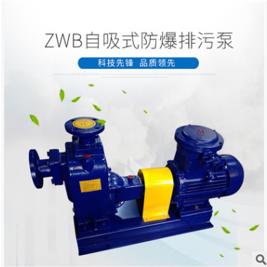 厂家直销65ZWB30-18自吸式防爆排污泵 污水泵ZW自吸泵水泵离心泵