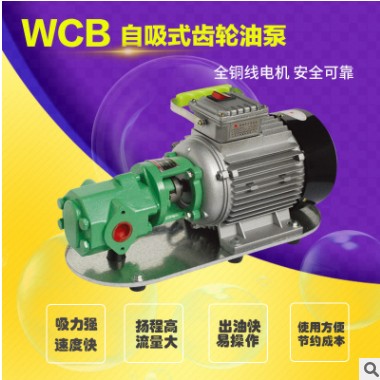 WCB微型便携手提式齿轮油泵 电动柴油泵 大流量齿轮泵 微型齿轮泵