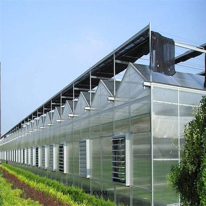 山东抗风能力强的阳光板温室建造 齐阳智能连栋温室建设商