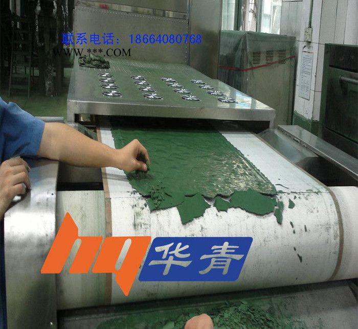 化工厂微波干燥设备 高粘度浆料污泥 微波干燥设备效率高