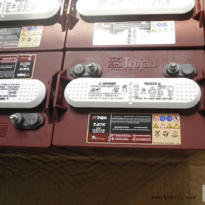 美国邱健蓄电池T-125 6V240AH观光车 球车 洗地机专用动力电池