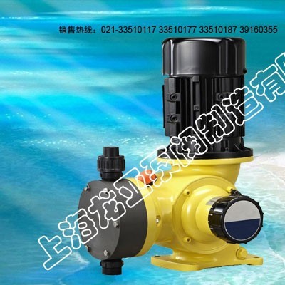次氯酸钠投加泵GB1600/0.3型-上海龙亚泵厂荣誉出品