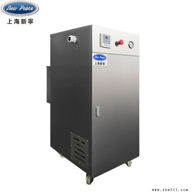型号LDR0.086-0.7电加热蒸汽发生器