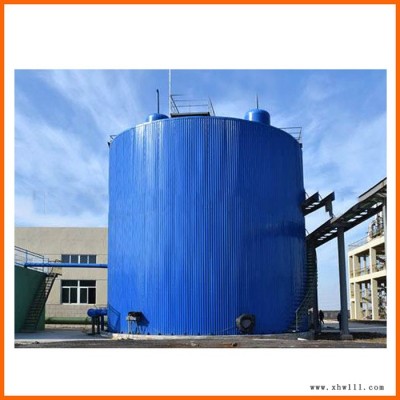 EGSB厌氧反应器厌氧塔 专业处理高浓度厌氧污水处理设备 加工定做