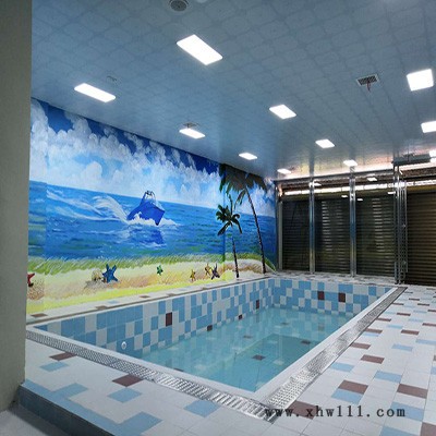 瀚宇hy-08游泳池设备 游泳池水处理设备  游泳池设备厂家 游泳池工程厂家 咨询：153 3381 2880