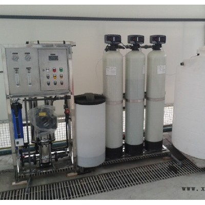 天津2t/h反渗透纯净水处理设备 饮用水净化设备