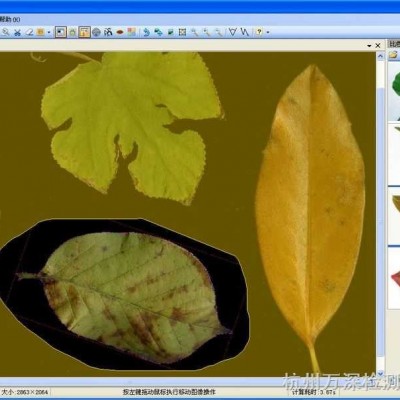 LA-S组合型植物图像分析仪系统                                                                        参考价: 面议