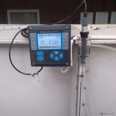 桶装水消毒臭氧在线分析仪进品电极