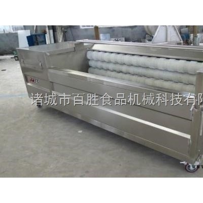 潞城生产大型气泡式大头菜清洗机价格
