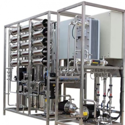 双级反渗透净水设备商用水机净水器大型工业水处理EDI超纯水处理